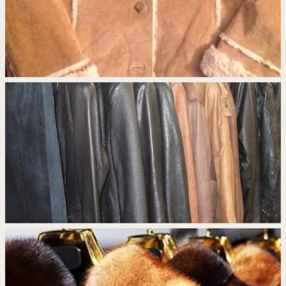 WhatsApp Image 2025-11-11 at 05.22.17_38d683cc